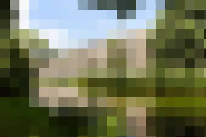 Langeplaat 265 Rozenburg thumbnail 22