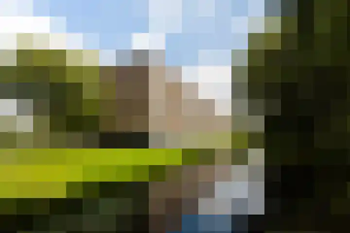 Langeplaat 265 Rozenburg thumbnail 23