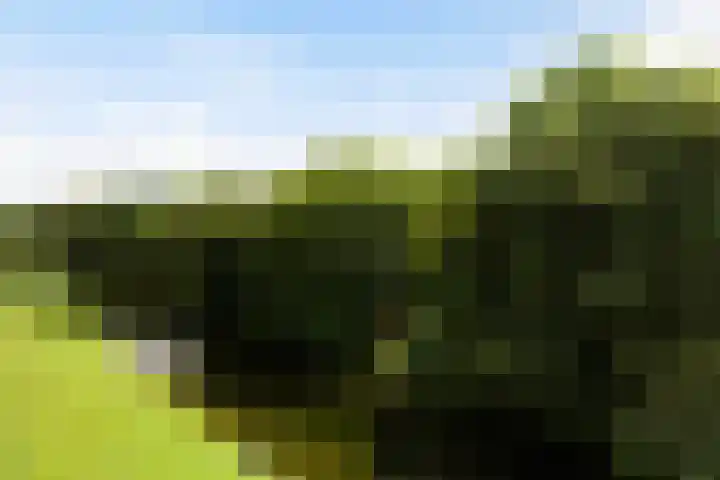 Langeplaat 265 Rozenburg thumbnail 24