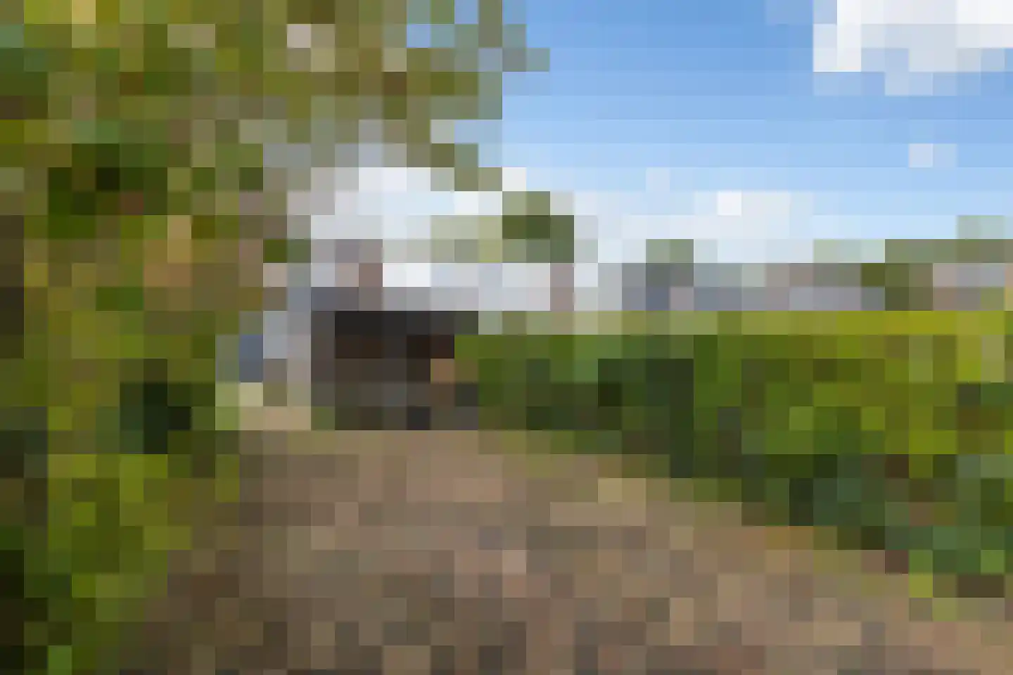 Langeplaat 47 Rozenburg thumbnail 18
