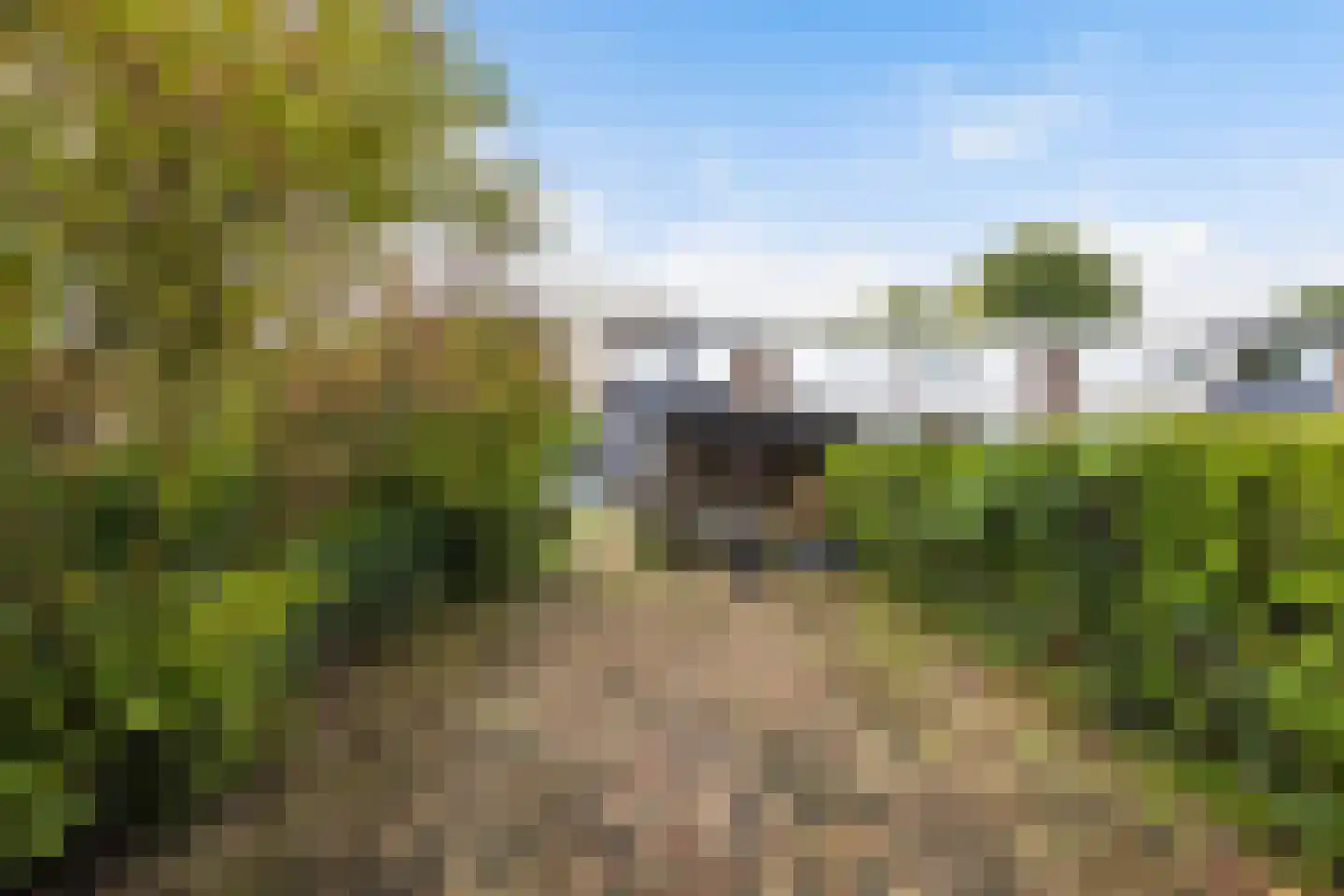 Langeplaat 47 Rozenburg thumbnail 19