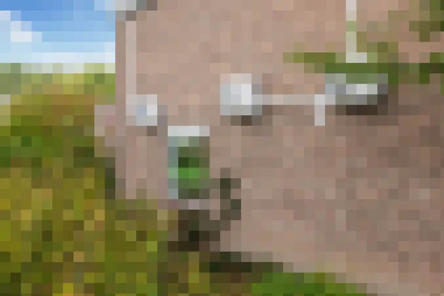 Langeplaat 47 Rozenburg thumbnail 40