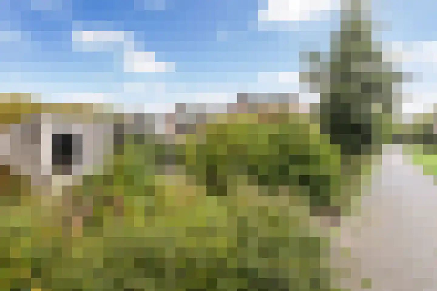 Langeplaat 47 Rozenburg thumbnail 41