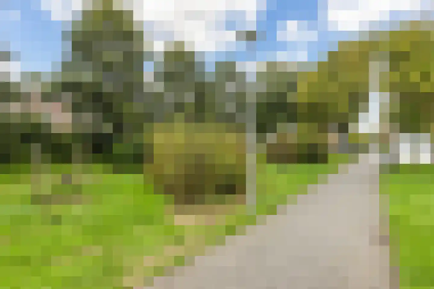 Langeplaat 47 Rozenburg thumbnail 42