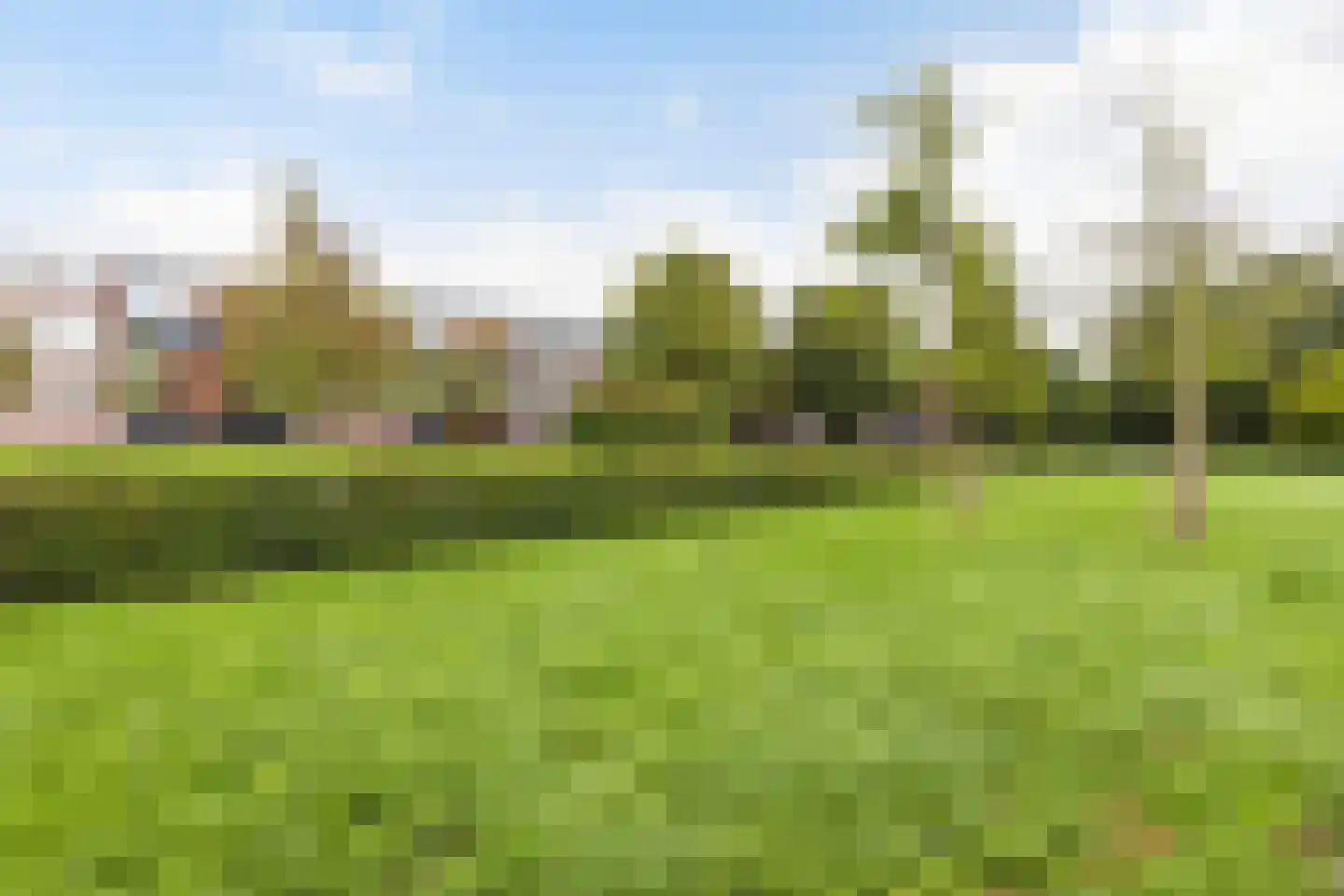 Langeplaat 47 Rozenburg thumbnail 43