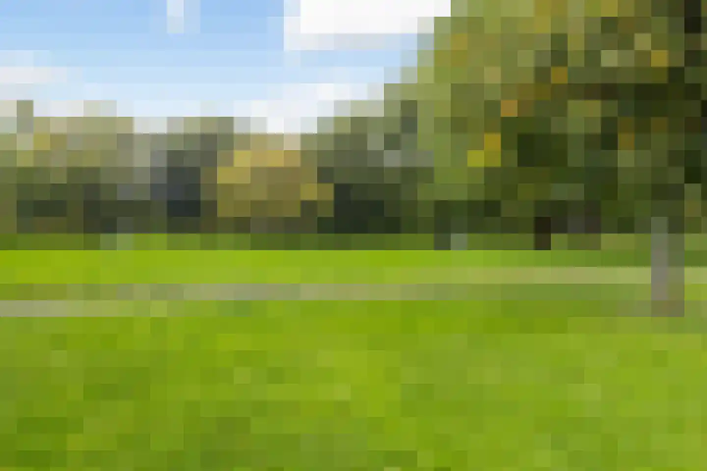 Langeplaat 47 Rozenburg thumbnail 44