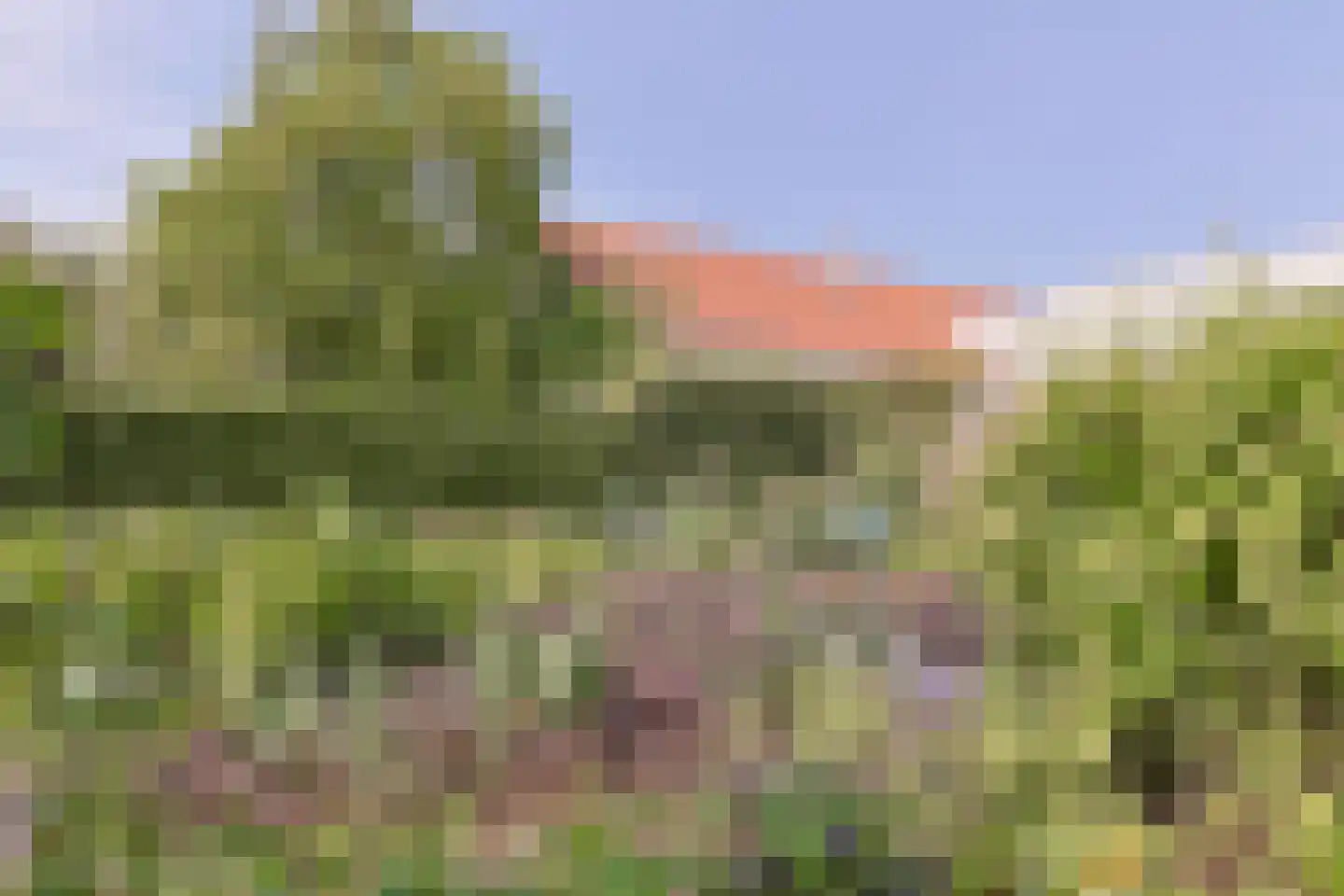 Langeraarseweg 200 Ter Aar thumbnail 60