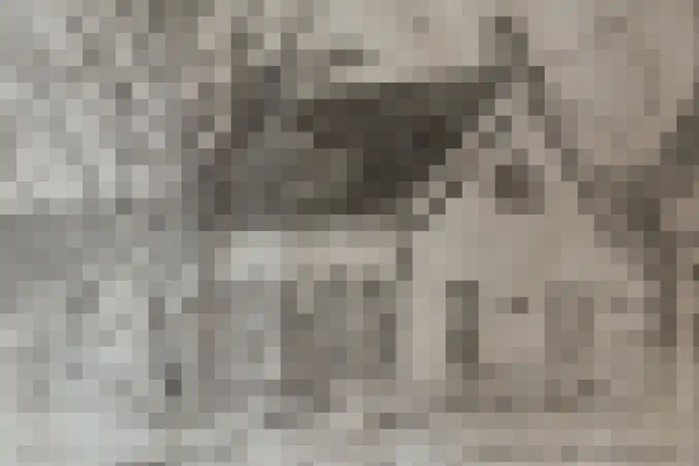 Langeraarseweg 200 Ter Aar thumbnail 62