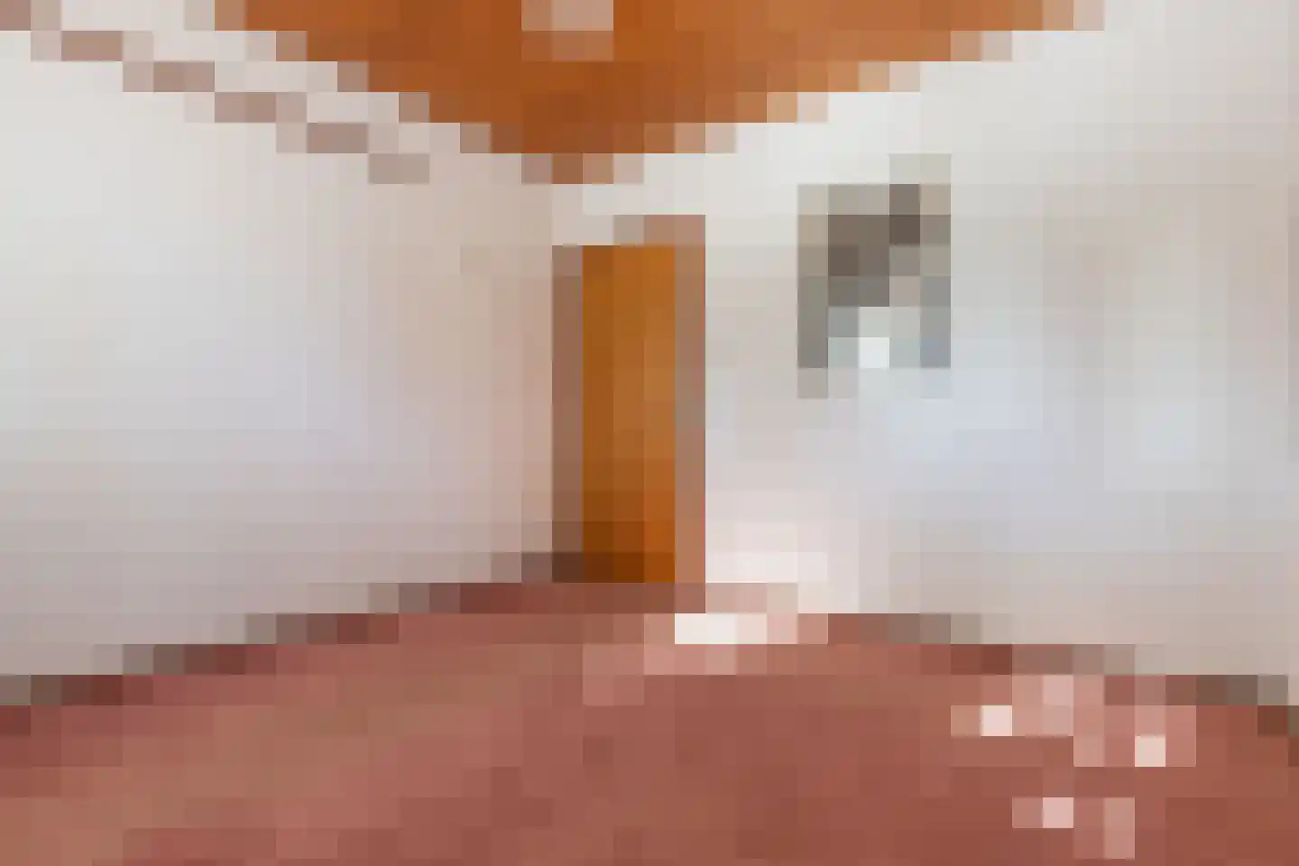 Langeraarseweg 258 Ter Aar thumbnail 22