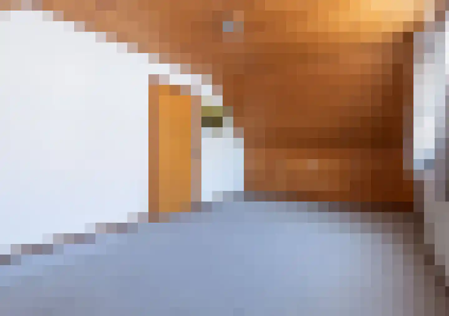 Langeraarseweg 258 Ter Aar thumbnail 28
