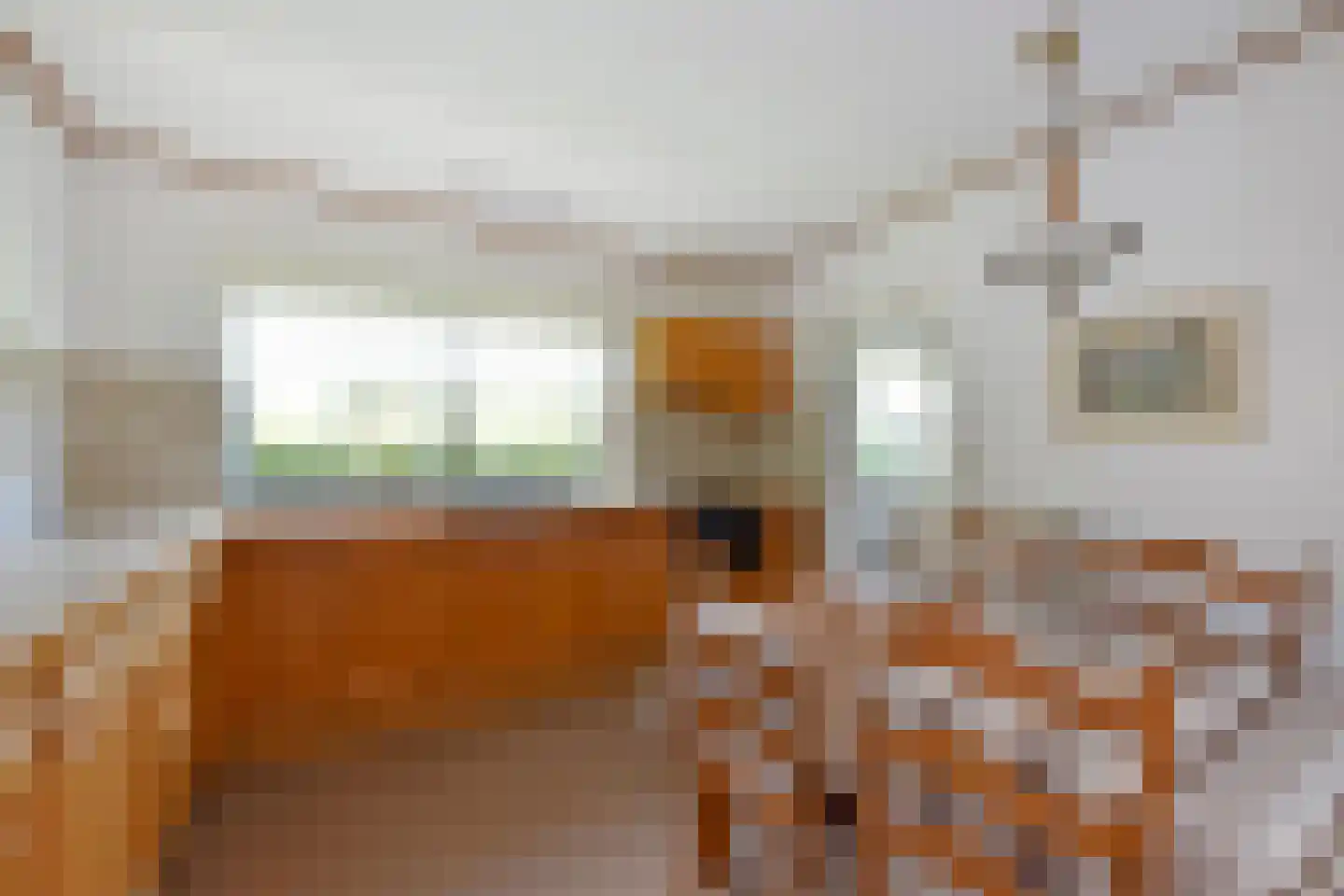 Langeraarseweg 264 A Ter Aar thumbnail 12
