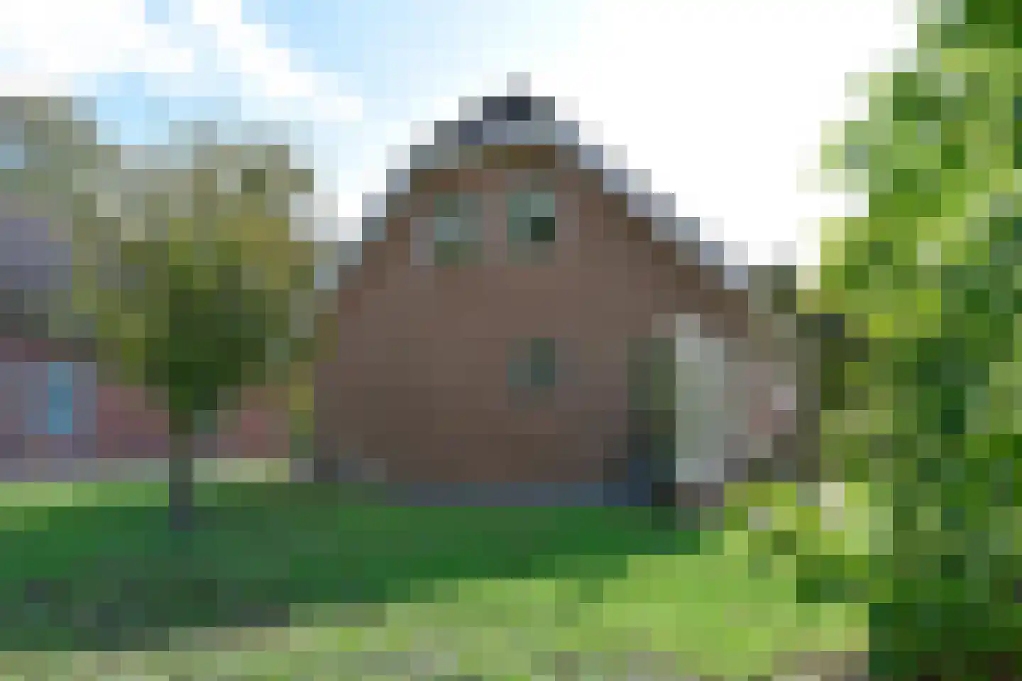 Langeraarseweg 264 A Ter Aar thumbnail 30