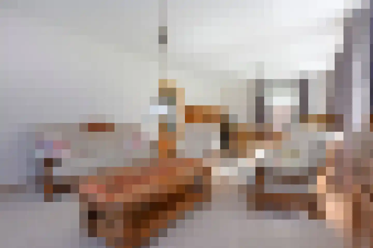Langeraarseweg 264 A Ter Aar thumbnail 9