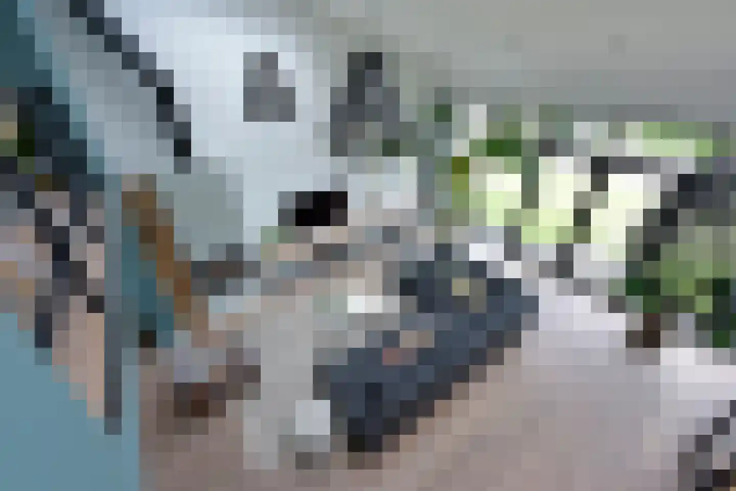 Langeraarseweg 64 Ter Aar thumbnail 16