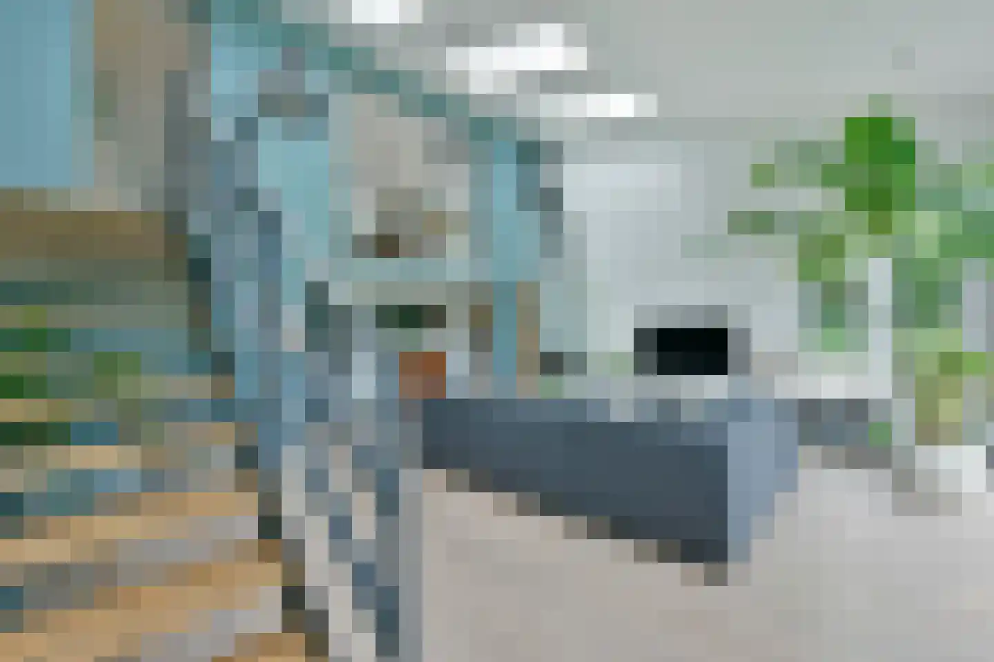Langeraarseweg 64 Ter Aar thumbnail 17