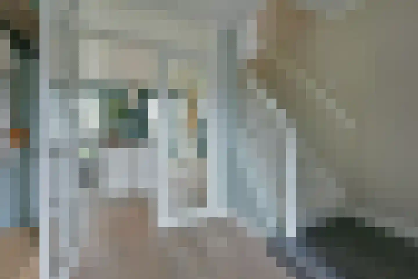 Langeraarseweg 64 Ter Aar thumbnail 27
