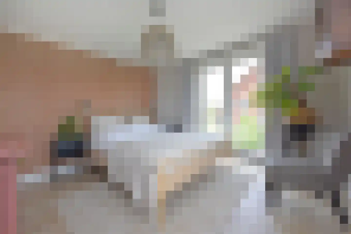Langeraarseweg 64 Ter Aar thumbnail 28