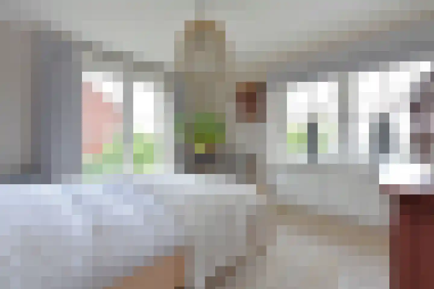 Langeraarseweg 64 Ter Aar thumbnail 29