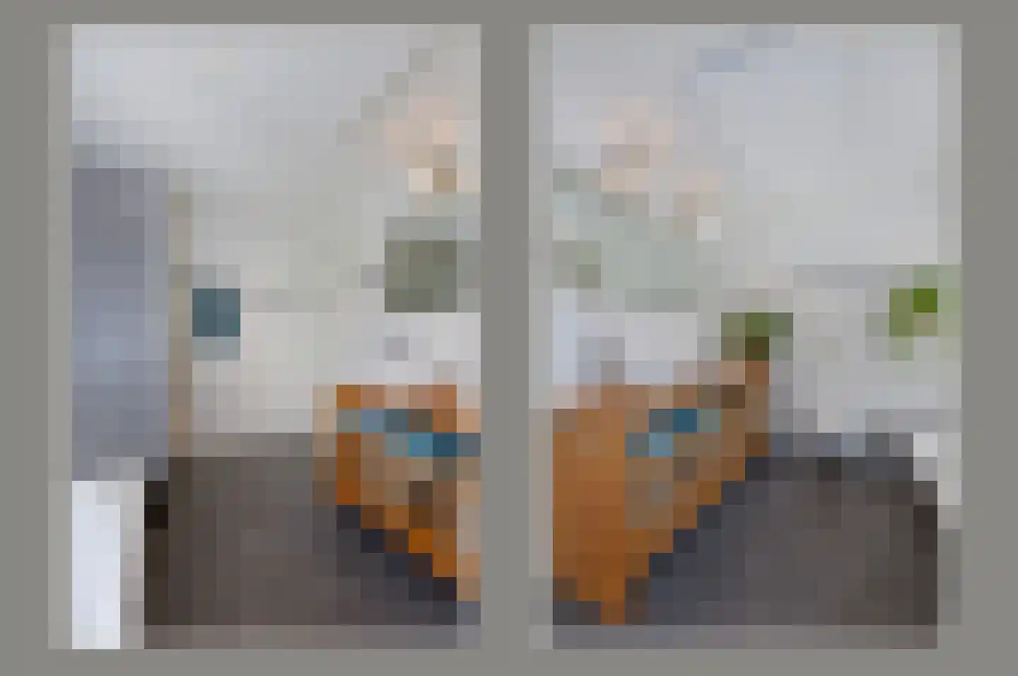 Langeraarseweg 64 Ter Aar thumbnail 33