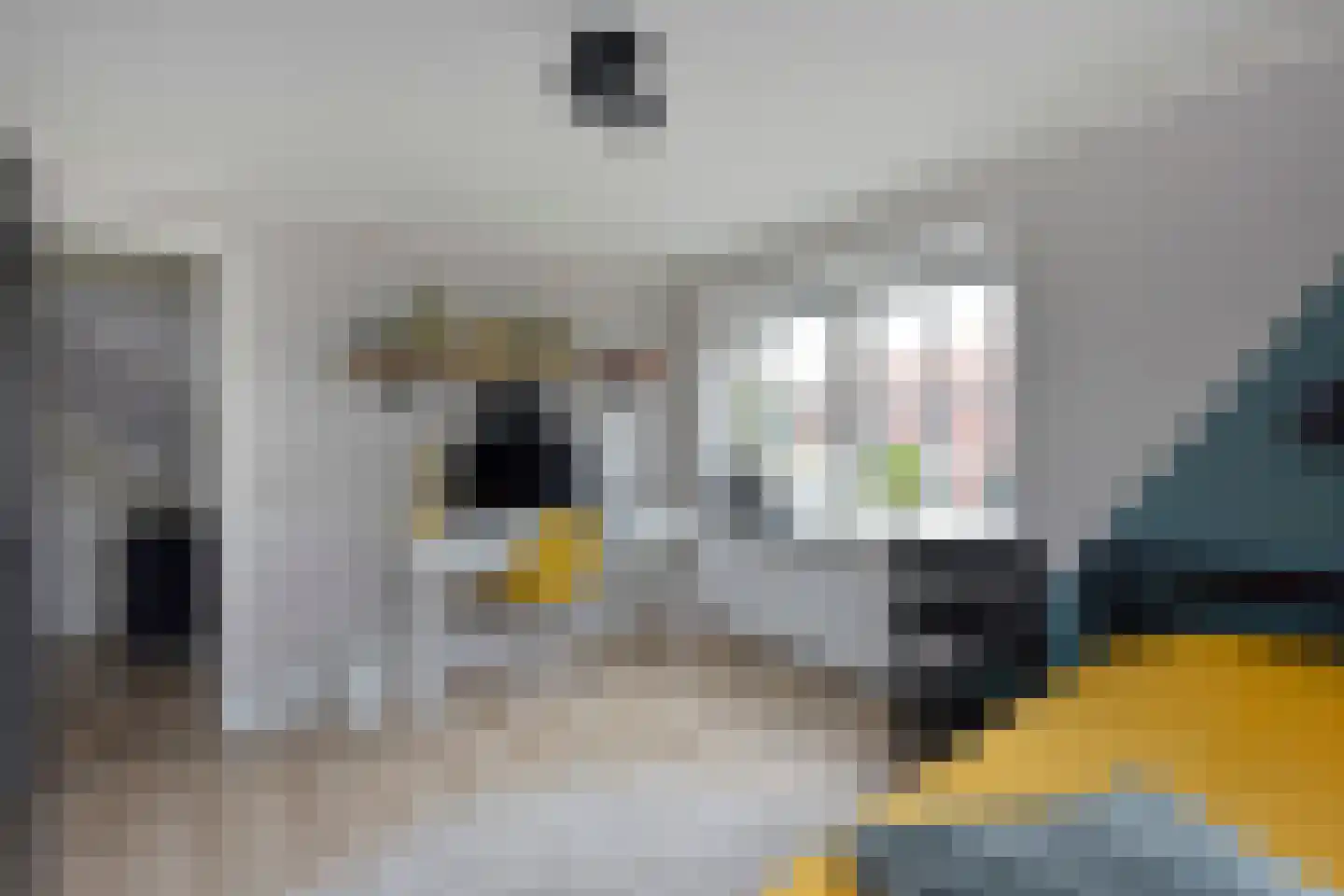 Langeraarseweg 64 Ter Aar thumbnail 37