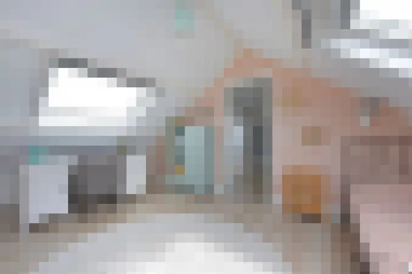 Langeraarseweg 64 Ter Aar thumbnail 39