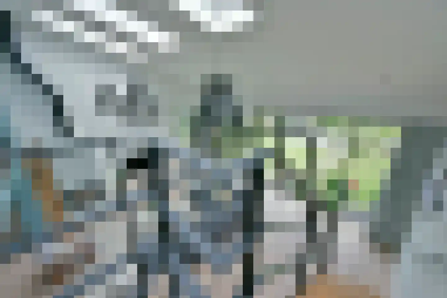Langeraarseweg 64 Ter Aar thumbnail 4