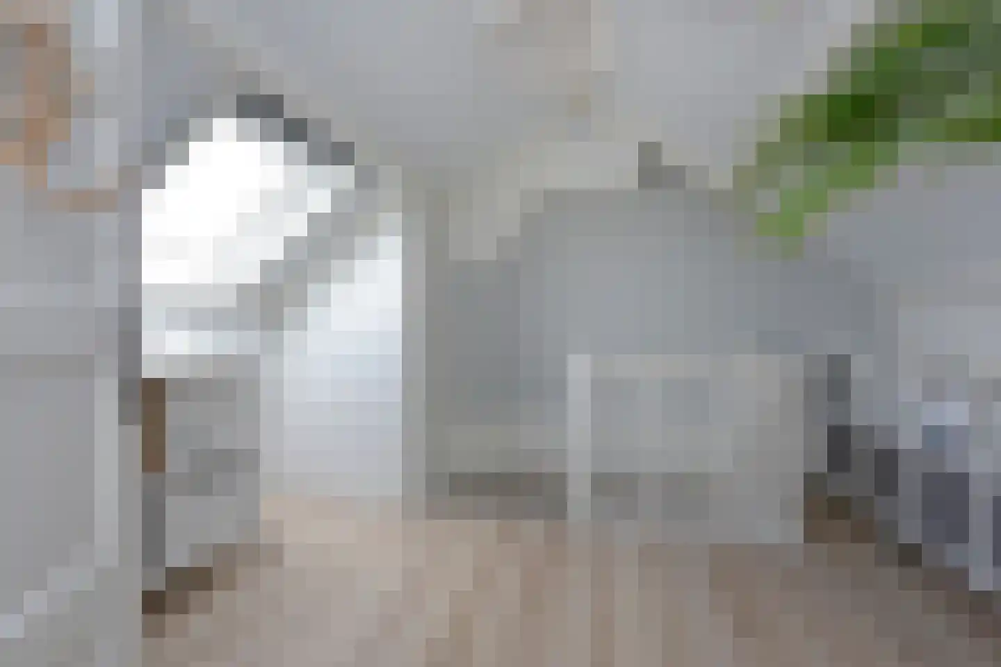 Langeraarseweg 64 Ter Aar thumbnail 40