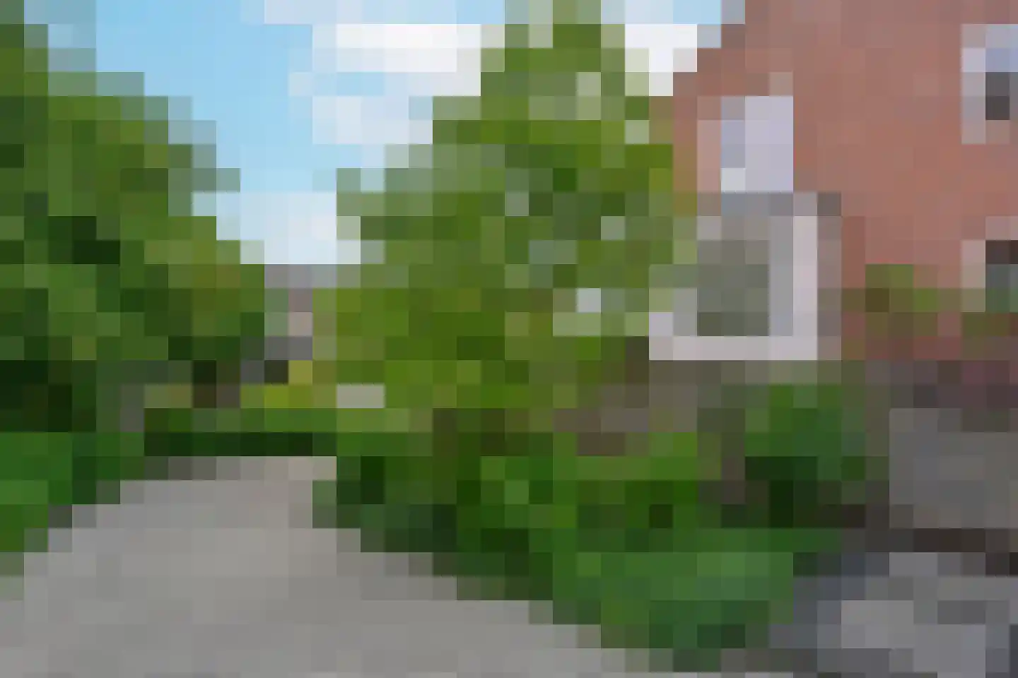 Langeraarseweg 64 Ter Aar thumbnail 47