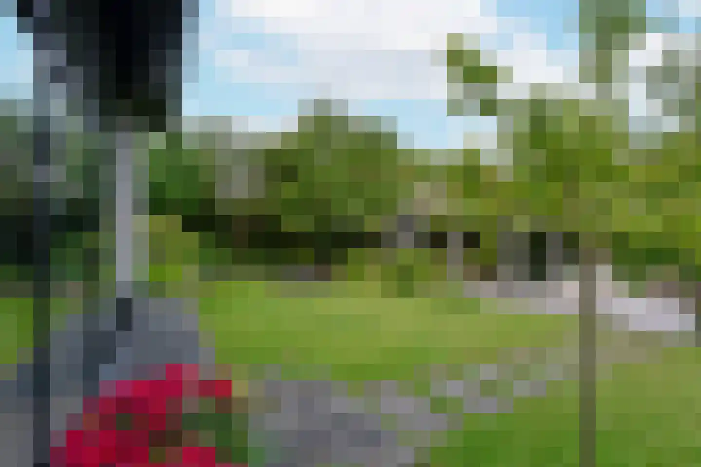 Langeraarseweg 64 Ter Aar thumbnail 53