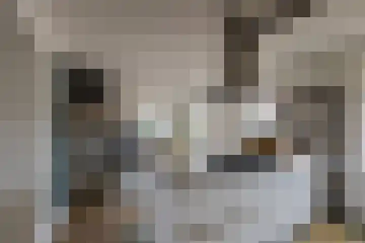 Langeraarseweg 79 Ter Aar thumbnail 23