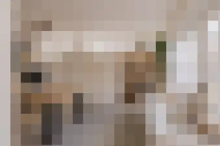Langeraarseweg 79 Ter Aar thumbnail 28