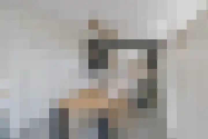 Langeraarseweg 79 Ter Aar thumbnail 29
