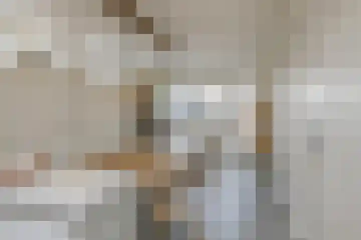 Langeraarseweg 79 Ter Aar thumbnail 31