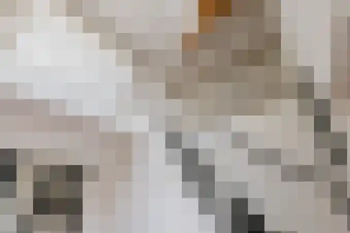 Langeraarseweg 79 Ter Aar thumbnail 32