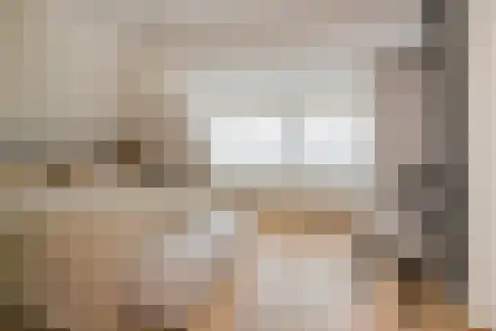 Langeraarseweg 79 Ter Aar thumbnail 33