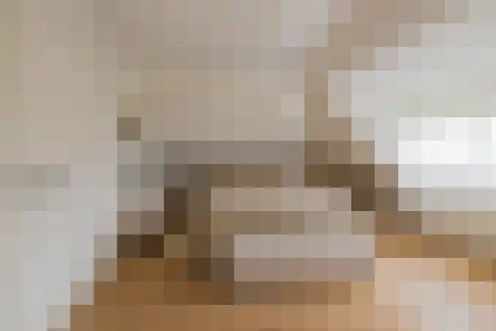 Langeraarseweg 79 Ter Aar thumbnail 34
