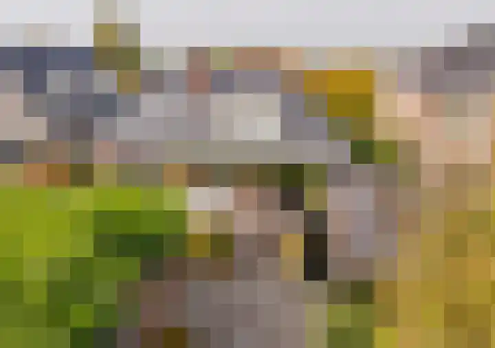 Langeraarseweg 79 Ter Aar thumbnail 43