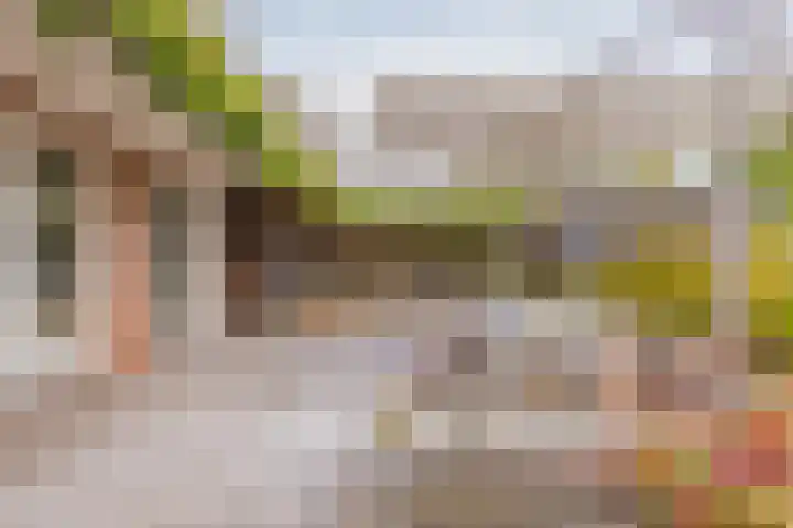 Langeraarseweg 79 Ter Aar thumbnail 44