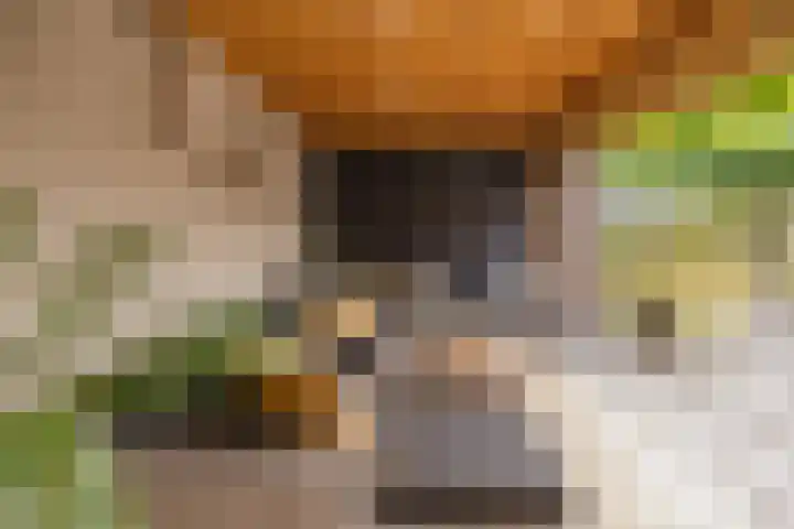 Langeraarseweg 79 Ter Aar thumbnail 46