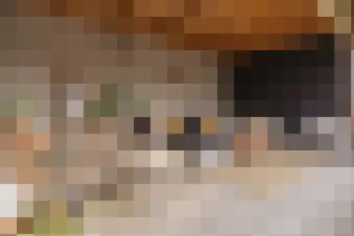 Langeraarseweg 79 Ter Aar thumbnail 47