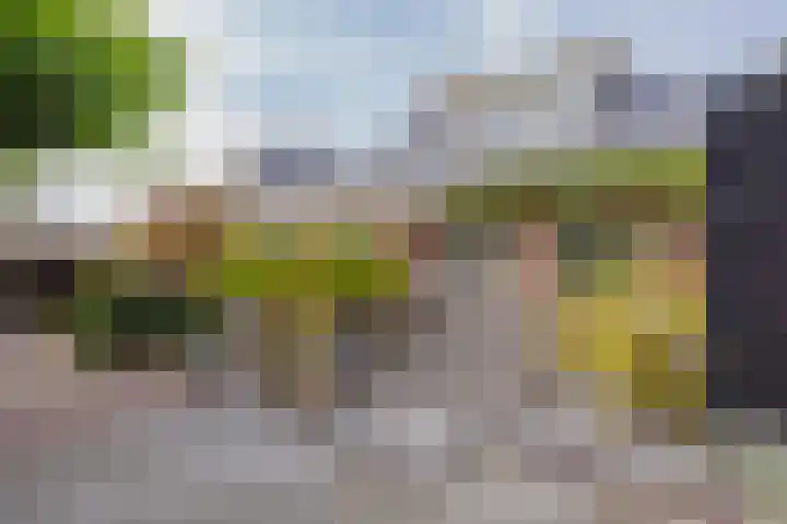 Langeraarseweg 79 Ter Aar thumbnail 51