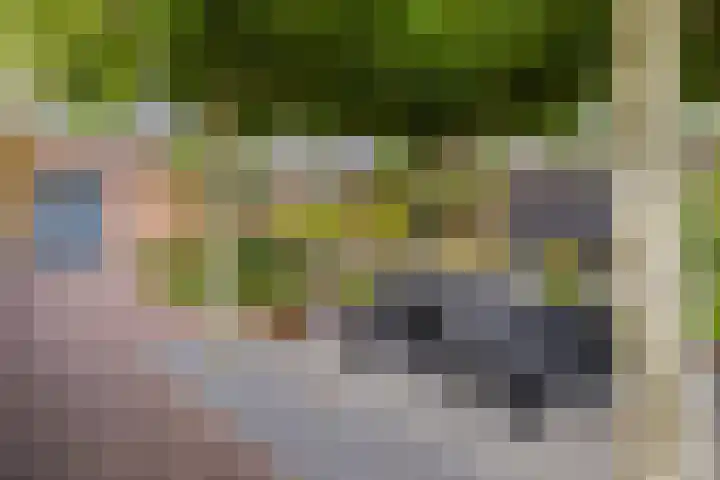 Langeraarseweg 79 Ter Aar thumbnail 53