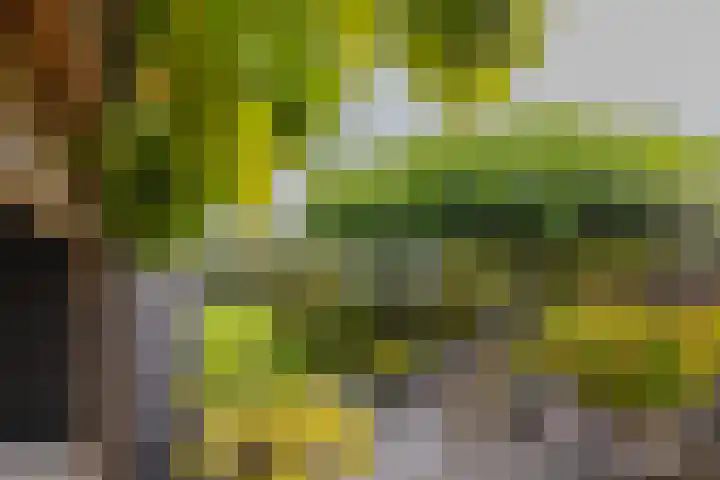 Langeraarseweg 79 Ter Aar thumbnail 55