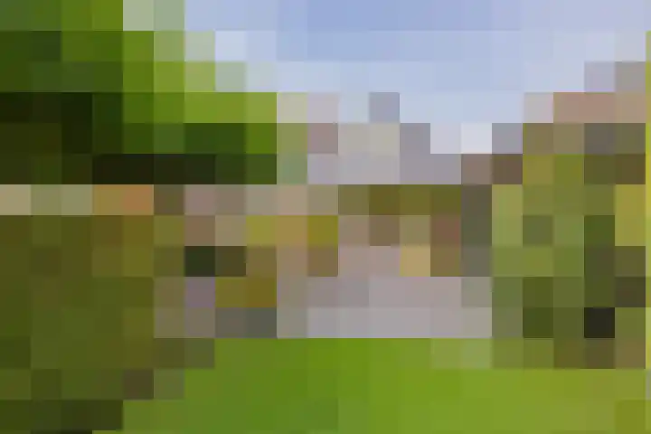Langeraarseweg 79 Ter Aar thumbnail 56
