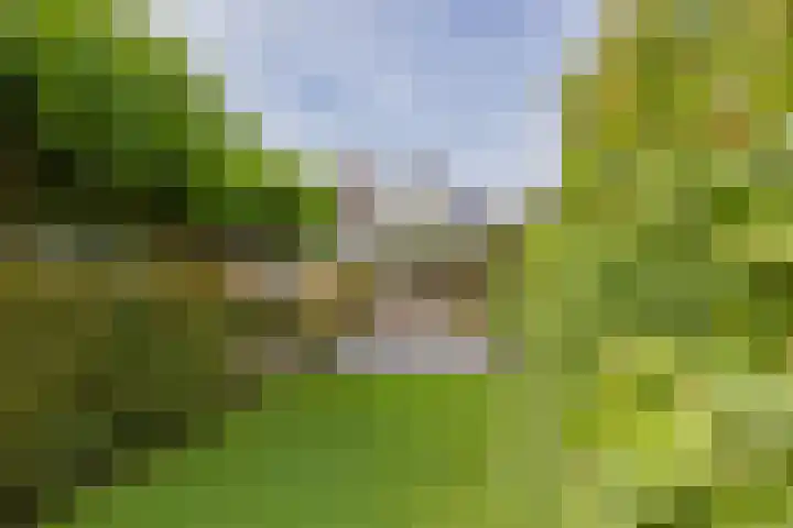 Langeraarseweg 79 Ter Aar thumbnail 58