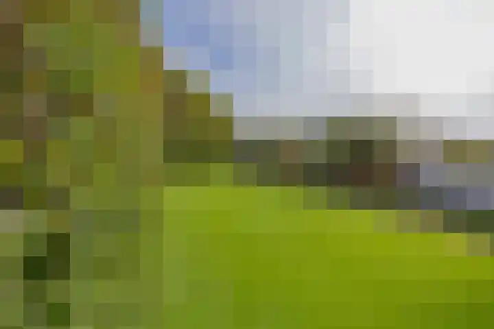 Langeraarseweg 79 Ter Aar thumbnail 59