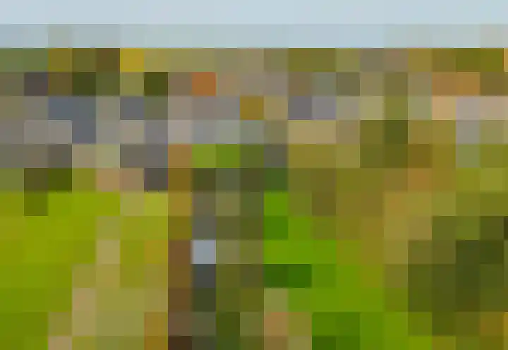 Langeraarseweg 79 Ter Aar thumbnail 6
