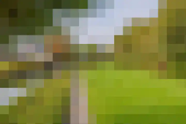 Langeraarseweg 79 Ter Aar thumbnail 61