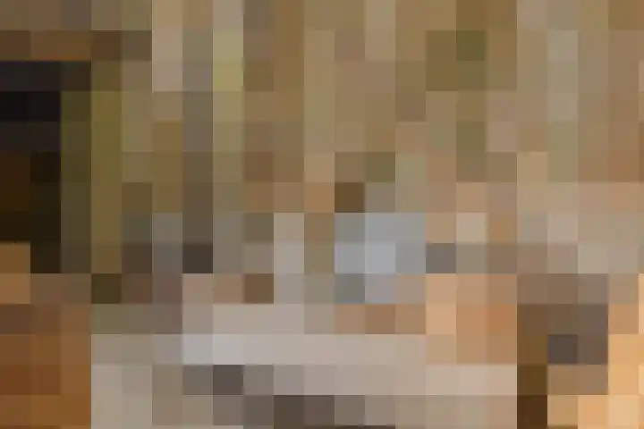 Langeraarseweg 79 Ter Aar thumbnail 62