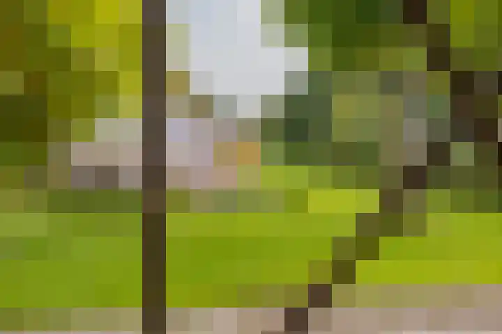 Langeraarseweg 79 Ter Aar thumbnail 63